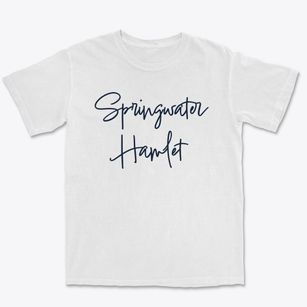 Springwater Hamlet New York Freestyle Premium Heavyweight T-shirt