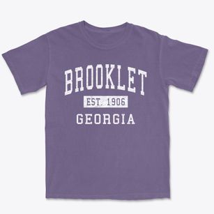 Brooklet Georgia Classic Established Premium Heavyweight T-shirt