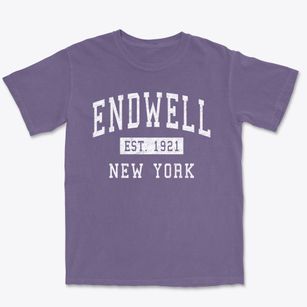Endwell New York Classic Established Premium Heavyweight T-shirt
