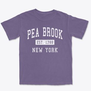 Pea Brook New York Classic Established Premium Heavyweight T-shirt