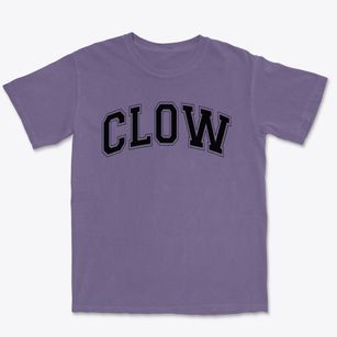 Clow Elementary School Varsity Arch Premium Heavyweight T-shirt