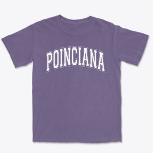 Poinciana Elementary School Varsity Arch Premium Heavyweight T-shirt