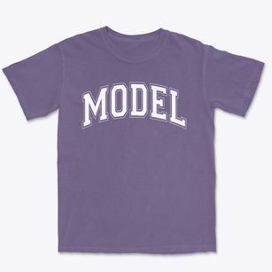 Model Laboratory Schools Varsity Arch Premium Heavyweight T-shirt