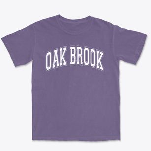Oak Brook Elementary School Varsity Arch Premium Heavyweight T-shirt