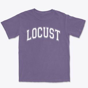 Locust Elementary School Varsity Arch Premium Heavyweight T-shirt