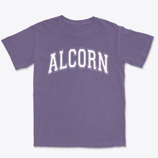 Alcorn Middle School Varsity Arch Premium Heavyweight T-shirt