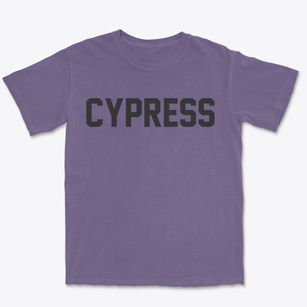 Cypress Illinois Classic Block Premium Heavyweight T-shirt