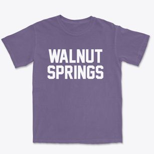 Walnut Springs Texas Classic Block Premium Heavyweight T-shirt