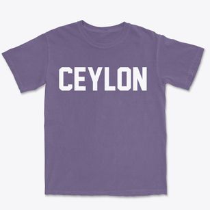 Ceylon Minnesota Classic Block Premium Heavyweight T-shirt