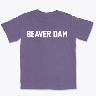 Beaver Dam Wisconsin Classic Block Premium Heavyweight T-shirt