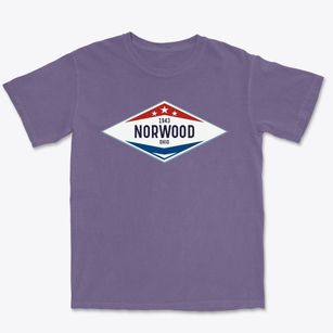 Norwood Ohio Diamond Star Premium Heavyweight T-shirt