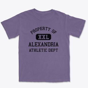 Alexandria Tennessee Athletic Dept Premium Heavyweight T-shirt