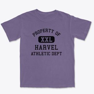 Harvel Illinois Athletic Dept Premium Heavyweight T-shirt