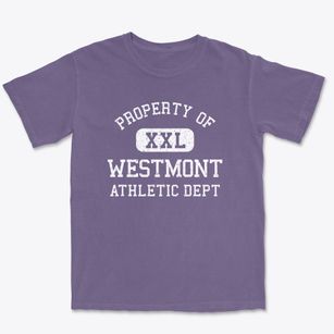 Westmont Illinois Athletic Dept Premium Heavyweight T-shirt