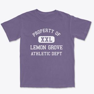 Lemon Grove Florida Athletic Dept Premium Heavyweight T-shirt