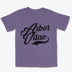 Arbor Vitae Wisconsin Vintage Team Premium Heavyweight T-shirt