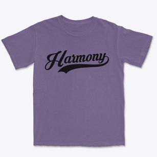 Harmony Pennsylvania Vintage Team Premium Heavyweight T-shirt