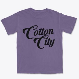 Cotton City New Mexico Vintage Team Premium Heavyweight T-shirt