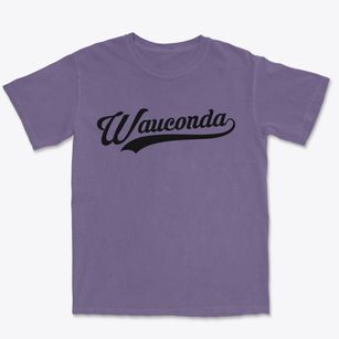 Wauconda Illinois Vintage Team Premium Heavyweight T-shirt