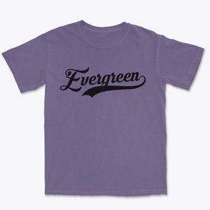 Evergreen Colorado Vintage Team Premium Heavyweight T-shirt