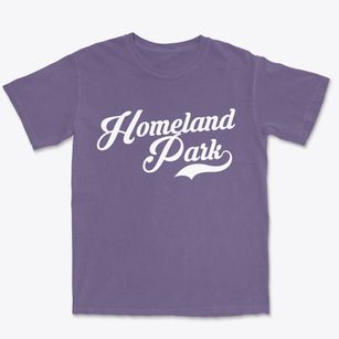 Homeland Park South Carolina Vintage Team Premium Heavyweight T-shirt