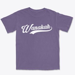Wanakah New York Vintage Team Premium Heavyweight T-shirt