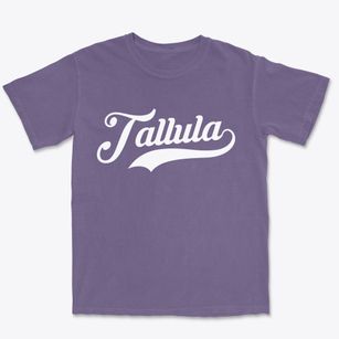 Tallula Illinois Vintage Team Premium Heavyweight T-shirt
