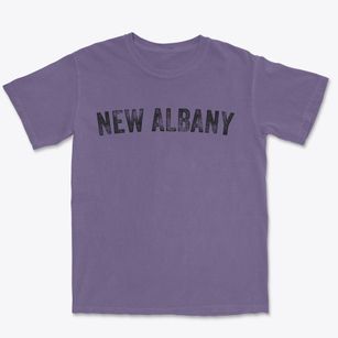 New Albany Mississippi Timeless Retro Premium Heavyweight T-shirt