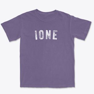 Ione Washington Timeless Retro Premium Heavyweight T-shirt