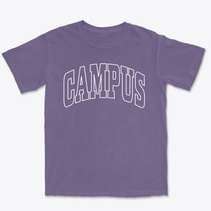Campus Illinois Trendy Block Premium Heavyweight T-shirt