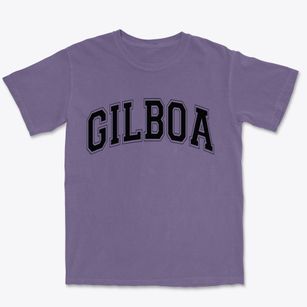 Gilboa New York Varsity Premium Heavyweight T-shirt