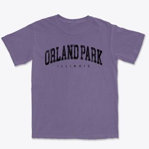 Orland Park Illinois Urban Vibe Premium Heavyweight T-shirt