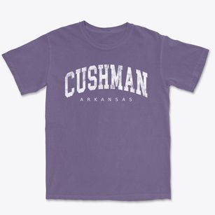 Cushman Arkansas Urban Vibe Premium Heavyweight T-shirt