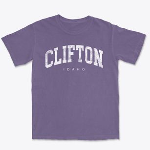 Clifton Idaho Urban Vibe Premium Heavyweight T-shirt