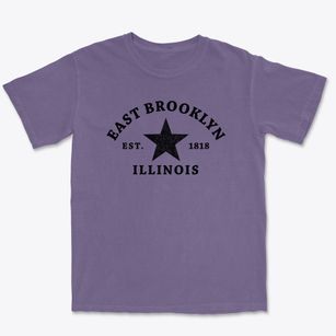 East Brooklyn Illinois Star Premium Heavyweight T-shirt