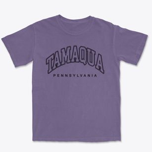 Tamaqua Pennsylvania Inline Premium Heavyweight T-shirt