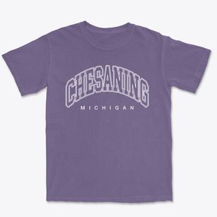 Chesaning Michigan Inline Premium Heavyweight T-shirt