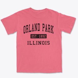 Orland Park Illinois Classic Established Premium Heavyweight T-shirt