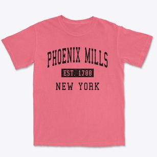 Phoenix Mills New York Classic Established Premium Heavyweight T-shirt