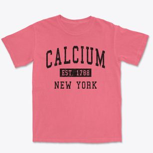 Calcium New York Classic Established Premium Heavyweight T-shirt
