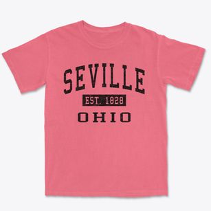 Seville Ohio Classic Established Premium Heavyweight T-shirt