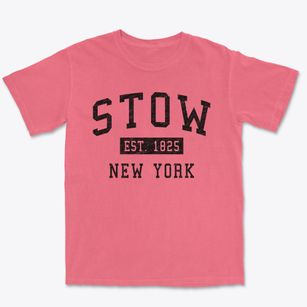 Stow New York Classic Established Premium Heavyweight T-shirt