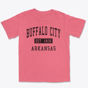 Buffalo City Arkansas Classic Established Premium Heavyweight T-shirt