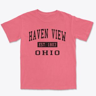 Haven View Ohio Classic Established Premium Heavyweight T-shirt