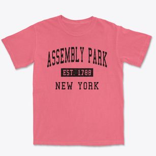 Assembly Park New York Classic Established Premium Heavyweight T-shirt