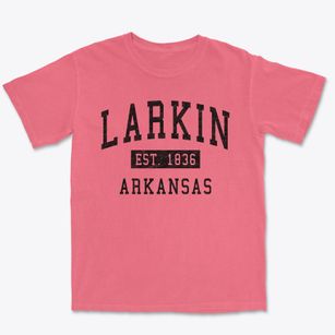 Larkin Arkansas Classic Established Premium Heavyweight T-shirt
