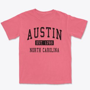 Austin North Carolina Classic Established Premium Heavyweight T-shirt