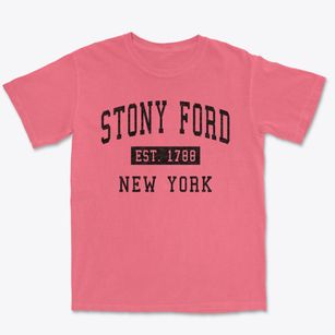 Stony Ford New York Classic Established Premium Heavyweight T-shirt