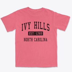 Ivy Hills North Carolina Classic Established Premium Heavyweight T-shirt