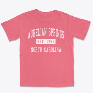 Aurelian Springs North Carolina Classic Established Premium Heavyweight T-shirt